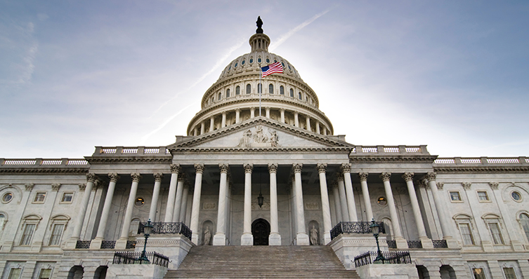 A view of the east steps of the United States Capitol Building.